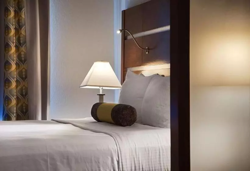سوئیت با تخت بزرگ, Best Western Plus College Station Inn & Suites