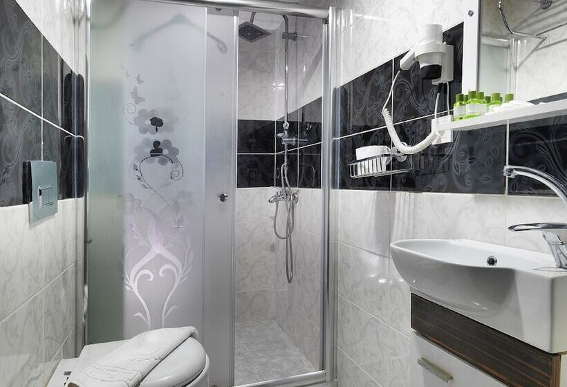 اتاق خانوادگی, Di̇yar Budget