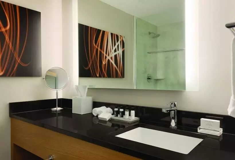 Executive-huone, Executive Hotel Le Soleil New York