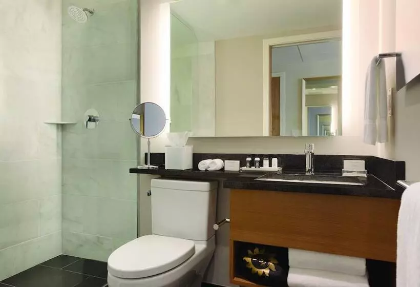 Executive-sviitti, Executive Hotel Le Soleil New York