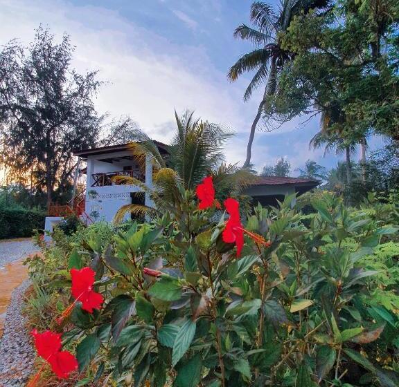 جناح مطلّ علي البحر, Flame Tree Cottages