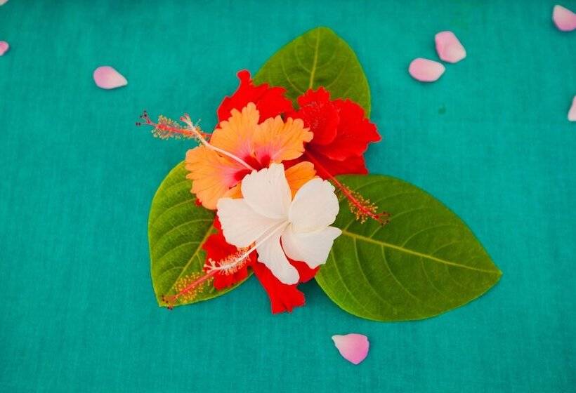 غرفة قياسية, Flame Tree Cottages