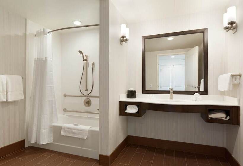 Номер Стандарт Кровать Кинг Адаптированный для Инвалидов, Hilton Garden Inn Boston Logan Airport