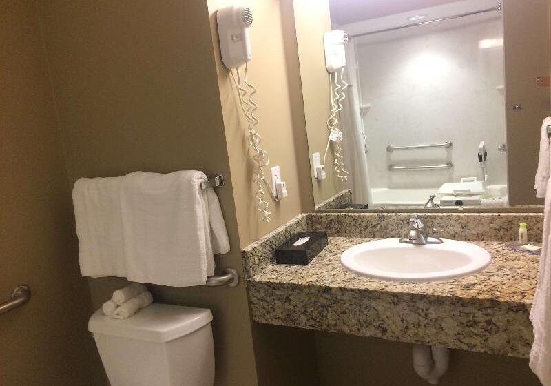 Standart Oda, Holiday Inn Express & Suites Litchfield, An Ihg