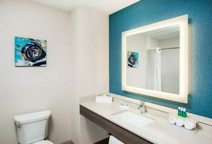 スタンダードルーム, Holiday Inn Express & Suites Litchfield, An Ihg