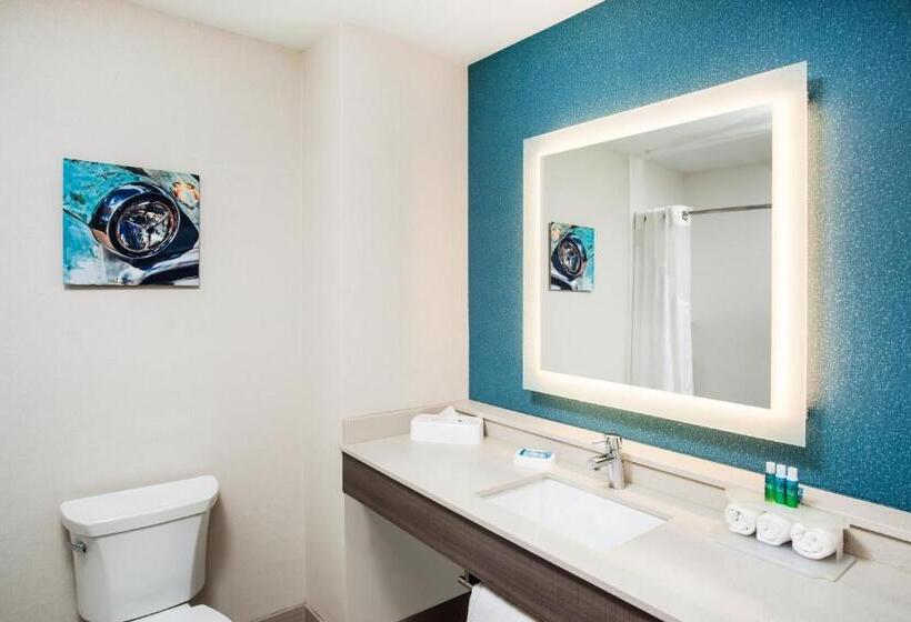 Люкс, Holiday Inn Express & Suites Litchfield, An Ihg