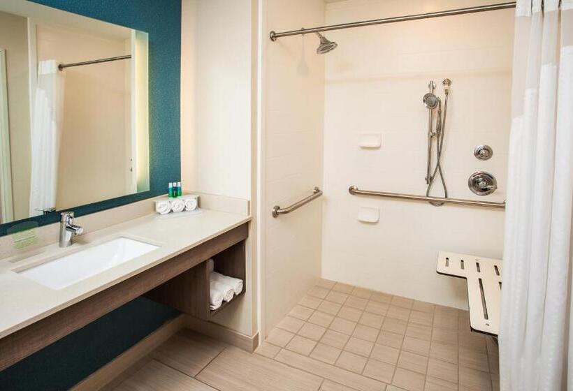 Engelliler için Büyük Çift Kişilik Yataklı Standart Oda, Holiday Inn Express & Suites Litchfield, An Ihg