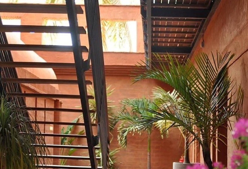 اتاق استاندارد, Le Djoloff