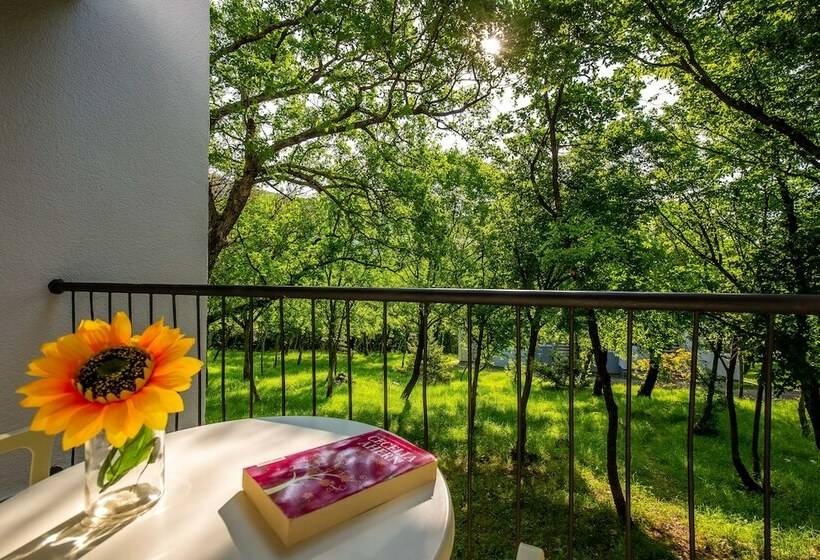 Номер Economy, Holiday Resort Kačjak