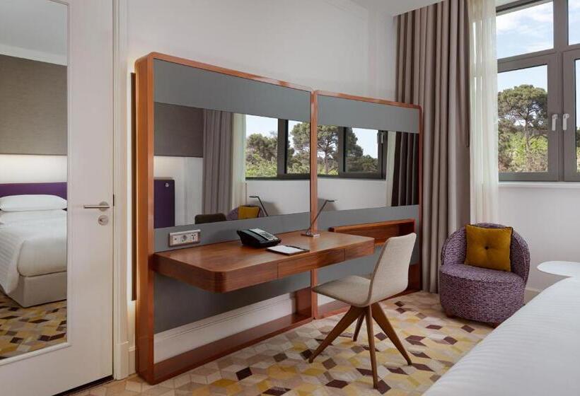 Habitació Estàndard Llit King, Sheraton Baku Intourist