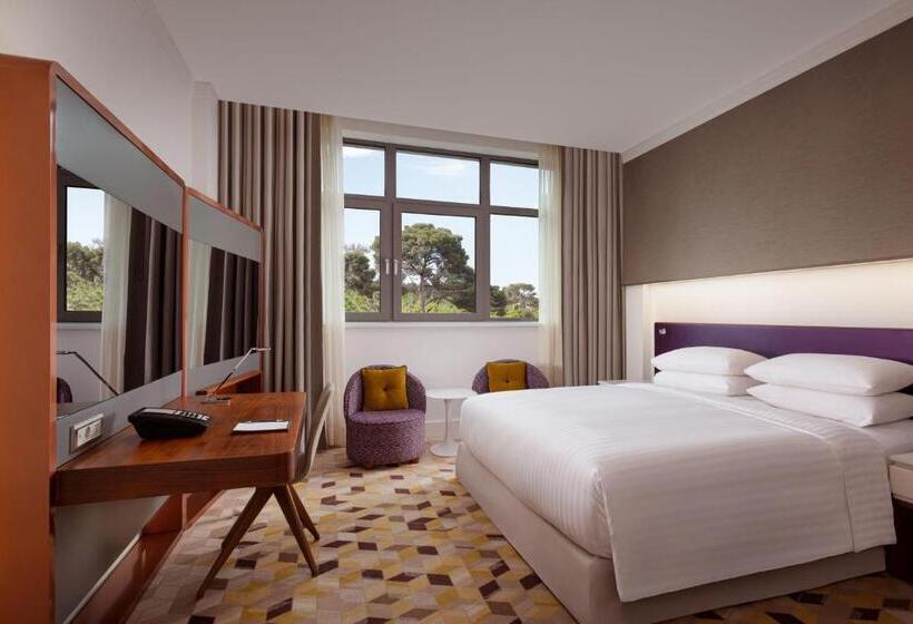 Habitació Estàndard Llit King, Sheraton Baku Intourist