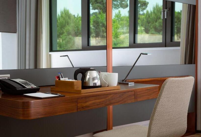 Habitació Estàndard Llit King, Sheraton Baku Intourist