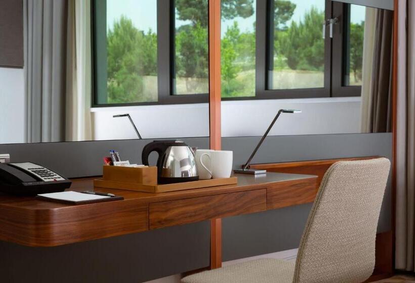 Habitació Estàndard Vista Jardí, Sheraton Baku Intourist