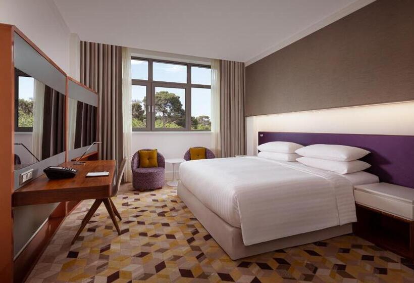 Habitació Estàndard Llit King, Sheraton Baku Intourist