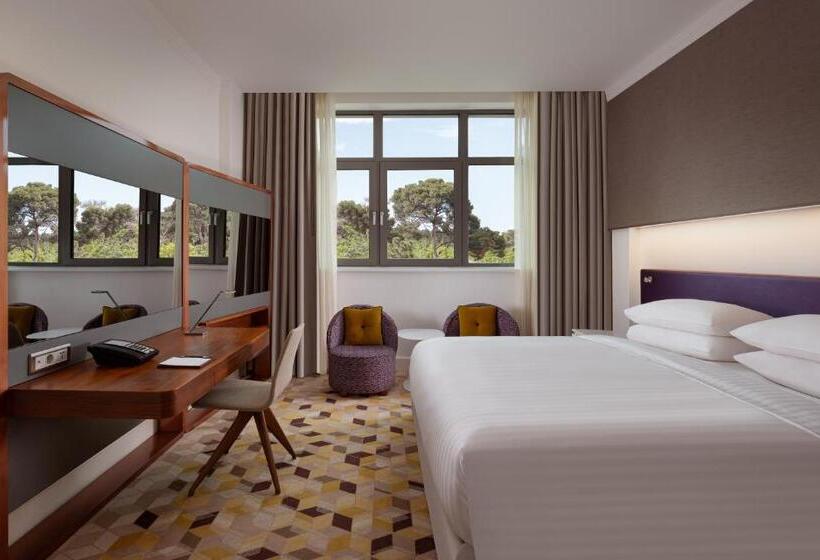 Habitació Estàndard Llit King, Sheraton Baku Intourist