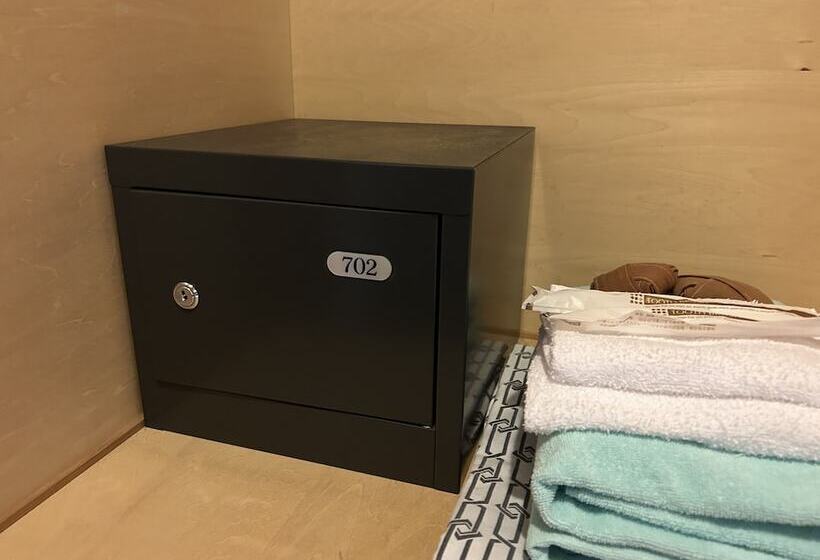 اتاق استاندارد, Matsumoto Ryokan