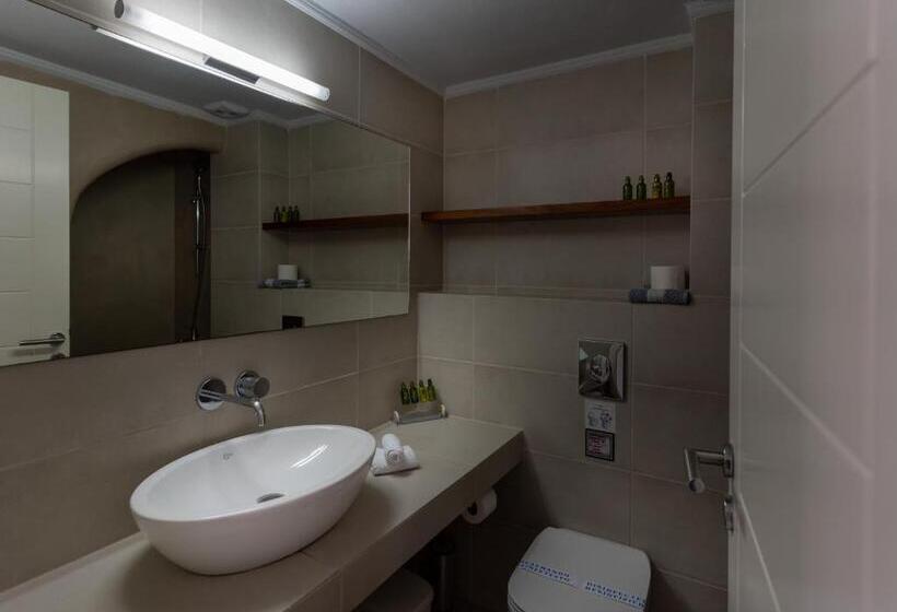 Appartement 1 Chambre, Anamnesis City Spa