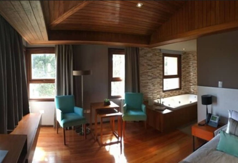 Полулюкс Вид на Озеро, Bosque Del Nahuel Boutique Hotel & Spa