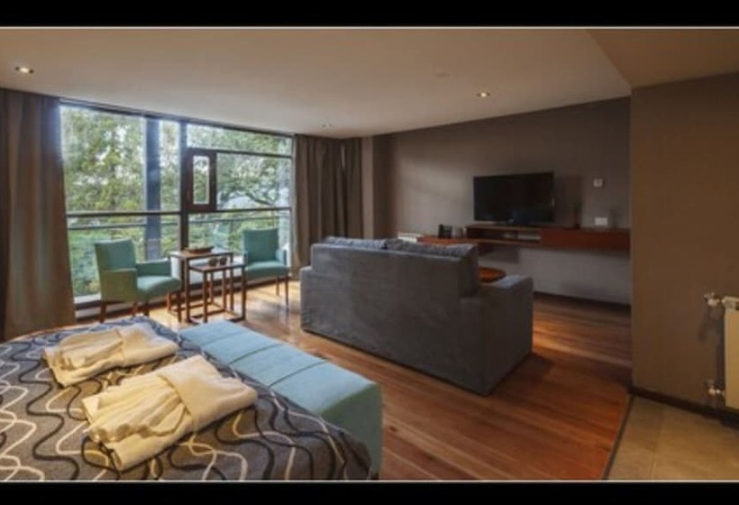 디럭스 스위트, Bosque Del Nahuel Boutique Hotel & Spa