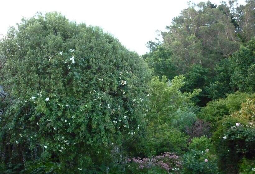 디럭스 룸, Cobden Garden
