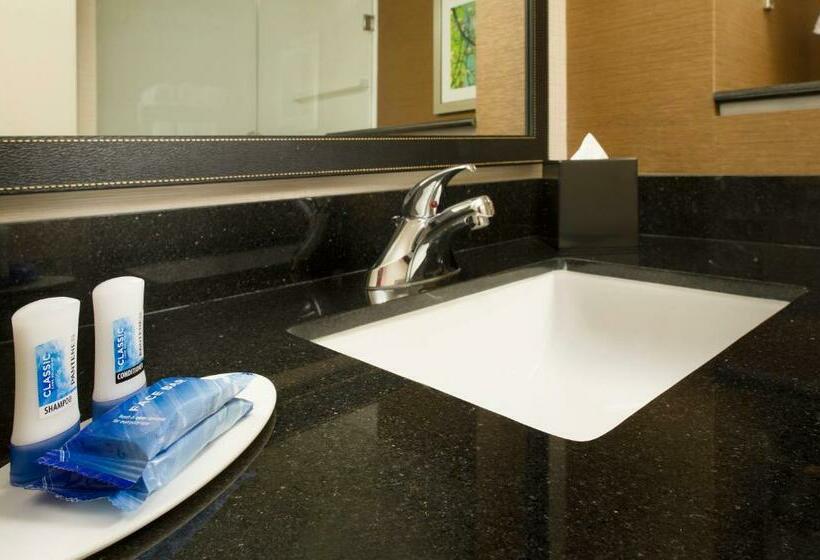 이그제큐티브 스위트, Fairfield Inn & Suites By Marriott Arundel Mills Bwi Airport