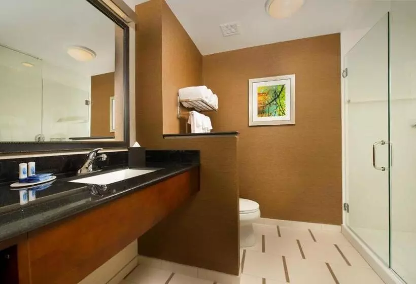 キングサイズベッドのスタンダードルーム, Fairfield Inn & Suites By Marriott Arundel Mills Bwi Airport