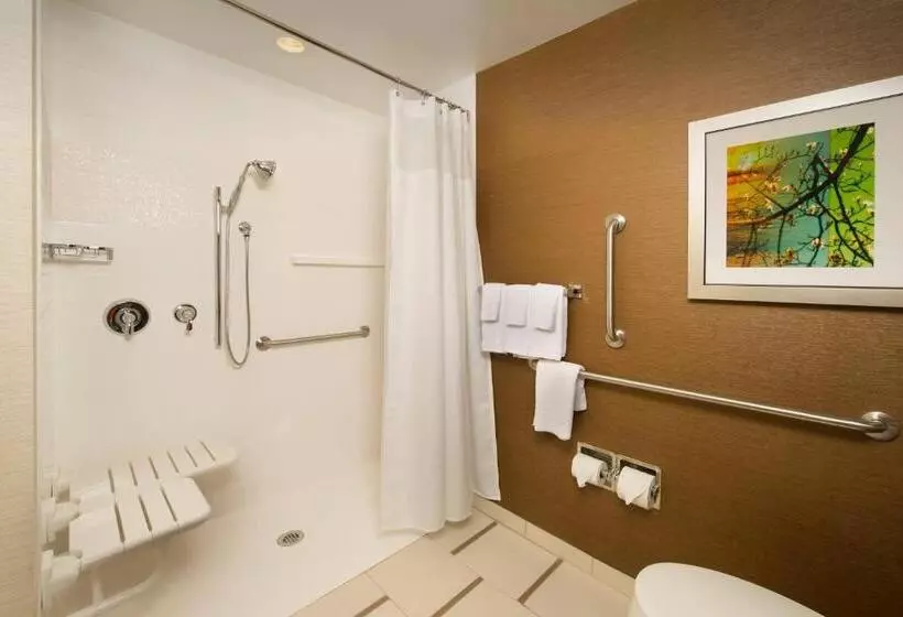 キングサイズベッドのスタンダードルーム, Fairfield Inn & Suites By Marriott Arundel Mills Bwi Airport