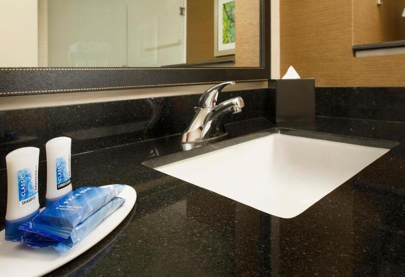 스탠다드 스튜디오 킹침대, Fairfield Inn & Suites By Marriott Arundel Mills Bwi Airport