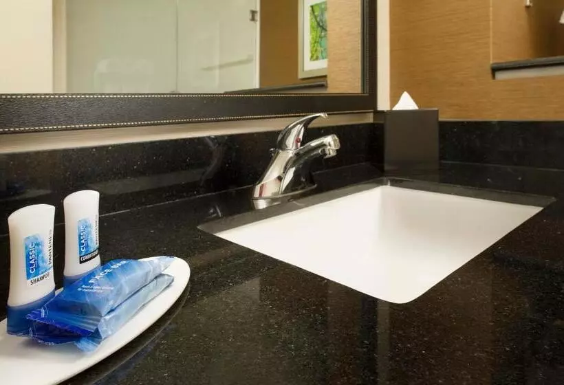 身障者適用スタンダードルーム, Fairfield Inn & Suites By Marriott Arundel Mills Bwi Airport