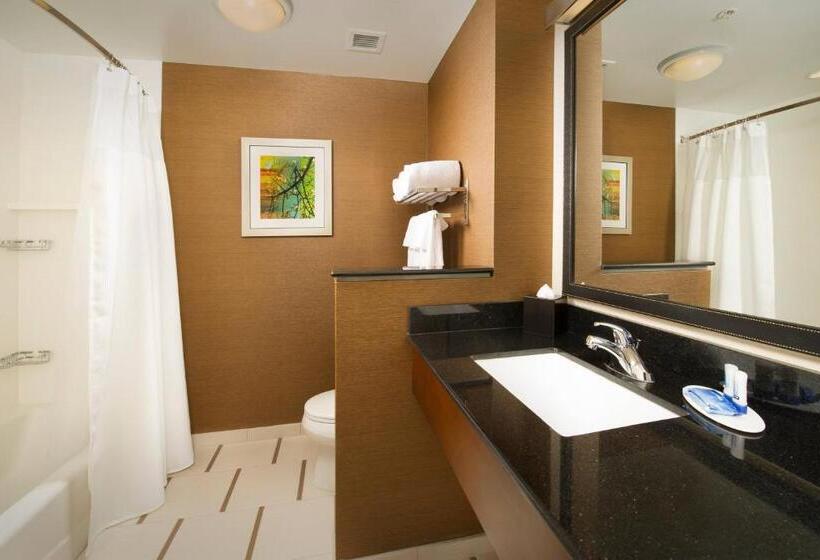 Номер Стандарт Адаптированный для Инвалидов, Fairfield Inn & Suites By Marriott Arundel Mills Bwi Airport