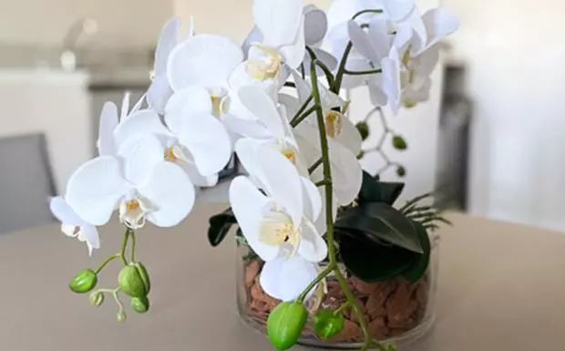 スイート, Letto Hotel Flores Da Cunha