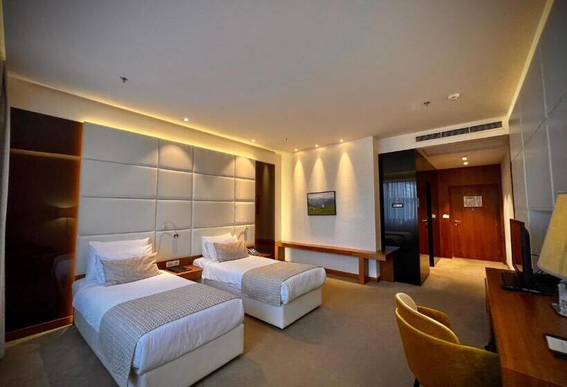 اتاق استاندارد, Mepas