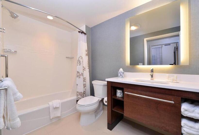 Люкс, Residence Inn By Marriott East Lansing