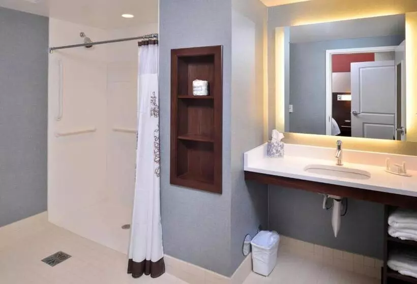 Sviitti 2 Makuuhuonetta, Residence Inn By Marriott East Lansing