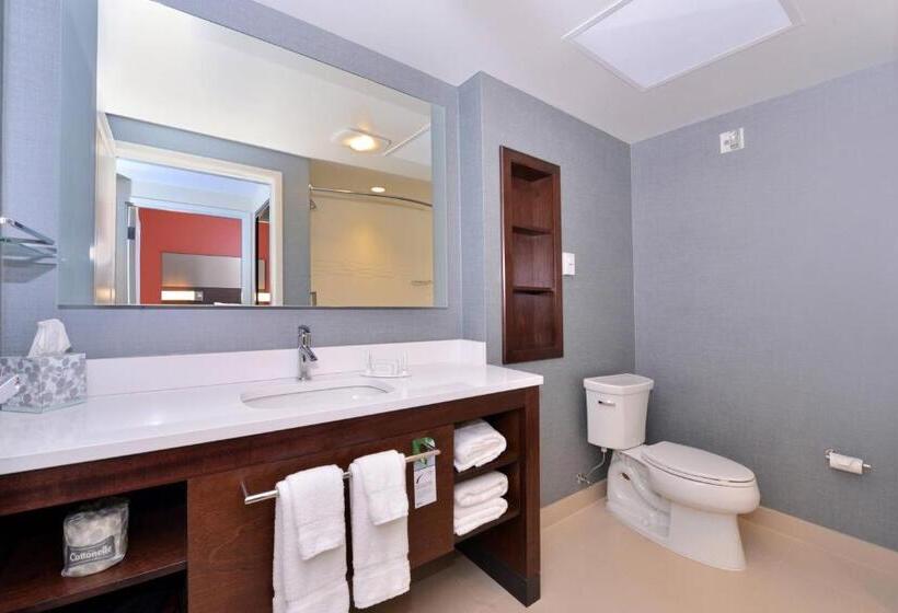 جناح غرفتين نوم, Residence Inn By Marriott East Lansing