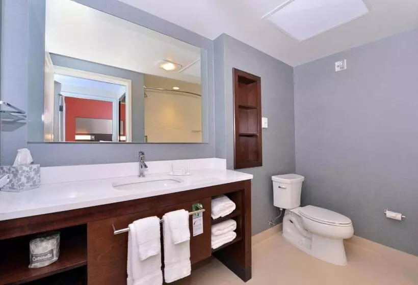 Sviitti 2 Makuuhuonetta, Residence Inn By Marriott East Lansing