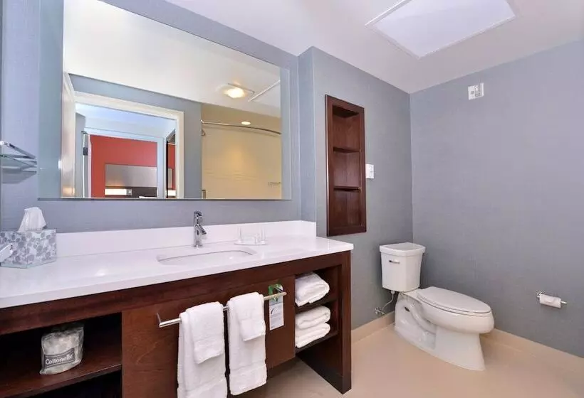 Sviitti, Residence Inn By Marriott East Lansing