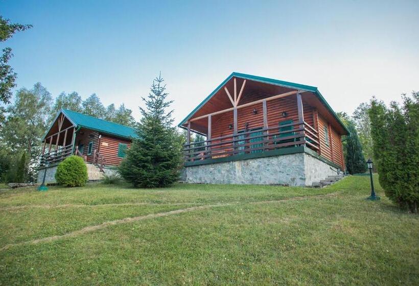 اتاق استاندارد, & Resort Gacka