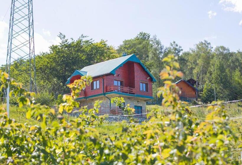 بانگلوی لوکس, & Resort Gacka