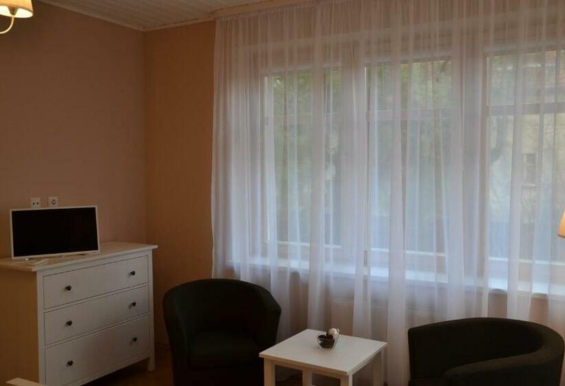 اتاق استاندارد, Liepa