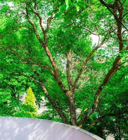 اتاق استاندارد با بالکن, Liepa