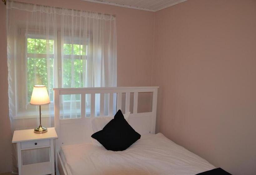 اتاق اکونومی, Liepa