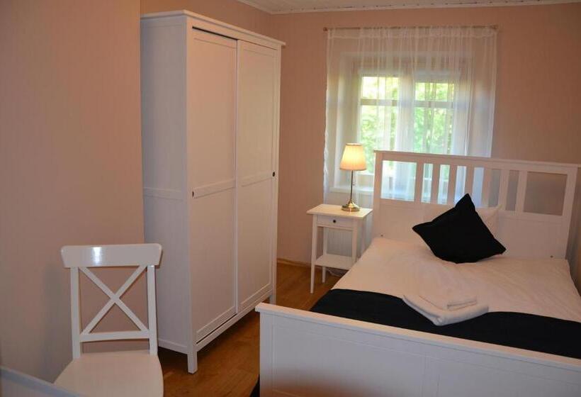 اتاق اکونومی, Liepa