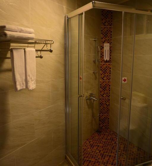 اتاق اکونومی, Champs Elysees Guesthouse