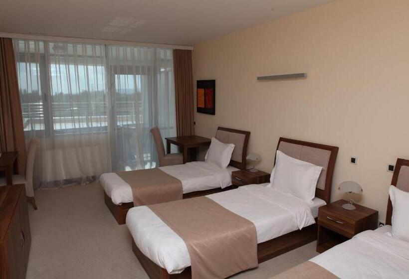 اتاق استاندارد با بالکن, Arena Hotel Kur