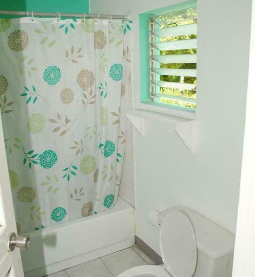 اتاق اکونومی, Bluefields On The Bay