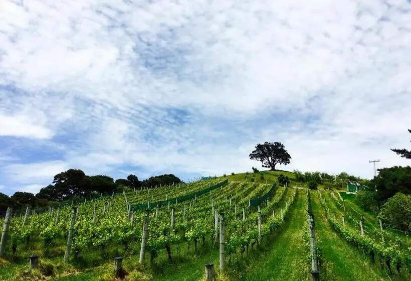 オーシャンビューの1ベッドルームビラ, Waiheke Island Vineyard Holiday Houses