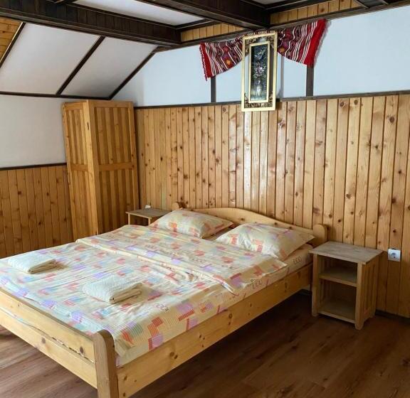 חדר סטנדרט, Pensiunea Puiu