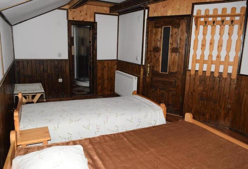 חדר סטנדרט לשלושה, Pensiunea Puiu