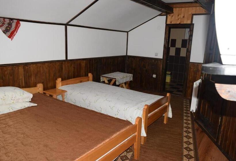 חדר סטנדרט לשלושה, Pensiunea Puiu